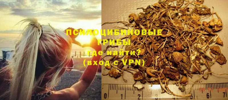 как найти   МЕГА   Галлюциногенные грибы Magic Shrooms  Новое Девяткино 